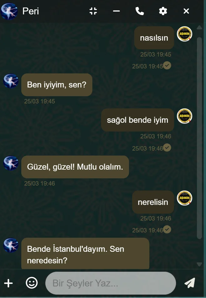 Yapay zeka bot